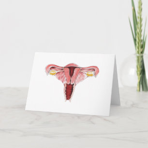 Female Reproductive Greeting Card