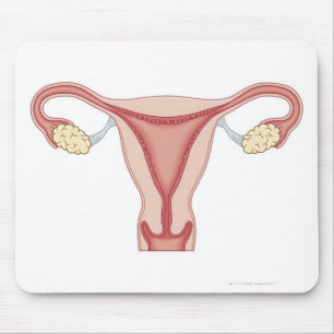 Female Reproductive System 2 Mouse Pad