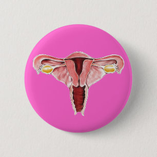 Female reproductive system button