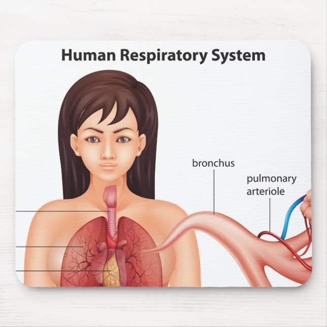 Female respiratory system   mouse pad (Front)