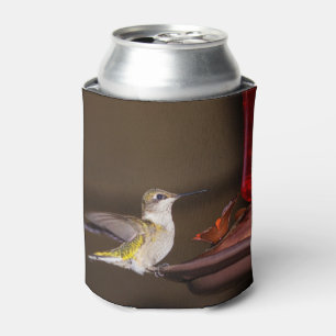 Female Ruby-throated Hummingbird Can Cooler