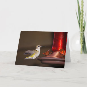 Female Ruby-throated Hummingbird Card