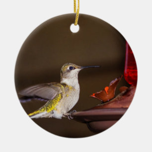 Female Ruby-throated Hummingbird Ceramic Tree Decoration