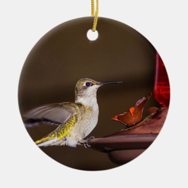 Female Ruby-throated Hummingbird Ceramic Tree Decoration (Front)