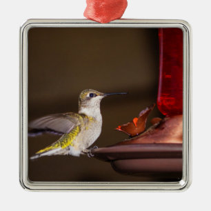 Female Ruby-throated Hummingbird Metal Tree Decoration