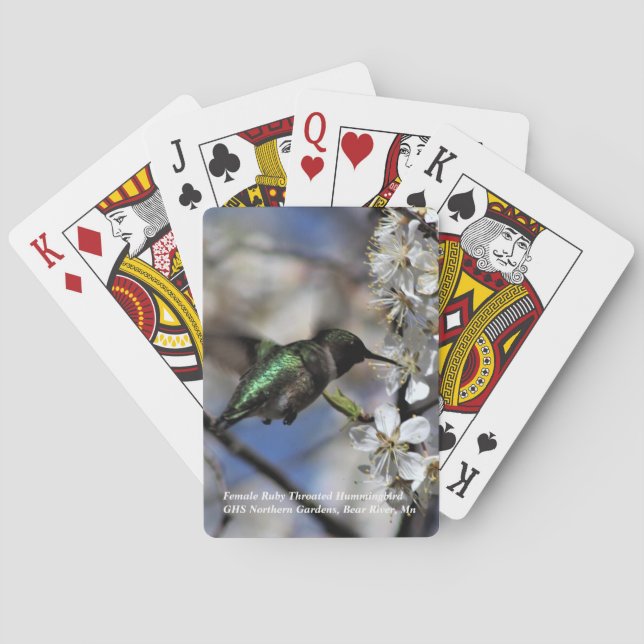 Female Ruby Throated Hummingbird Playing Cards (Back)