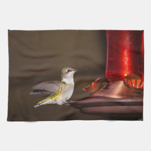 Female Ruby-throated Hummingbird Tea Towel