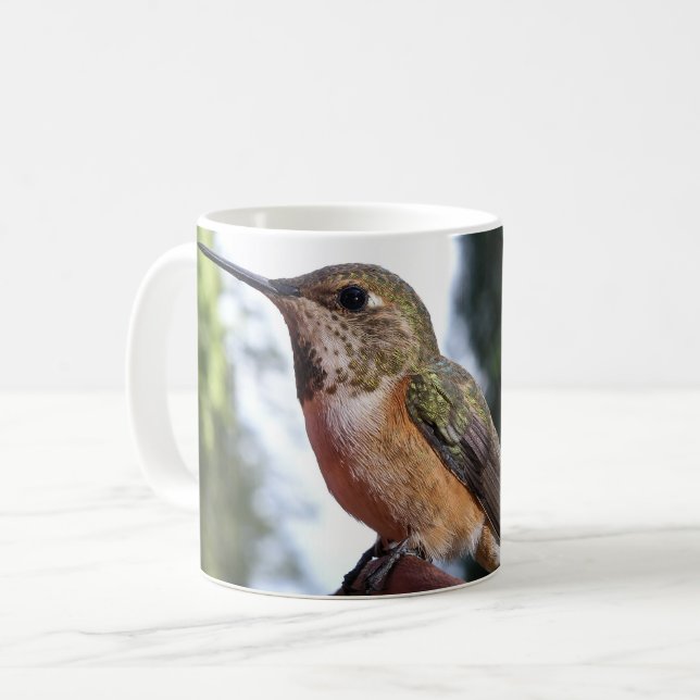Female Rufous Hummingbird - Mugs (Front Left)