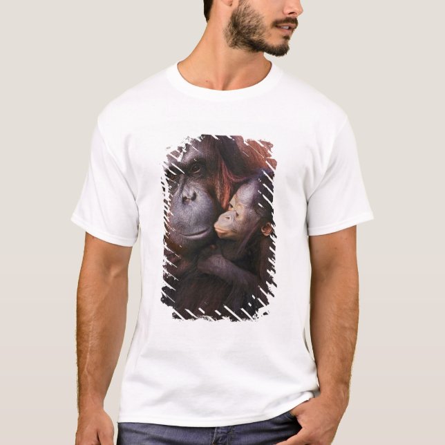 Female Sumatran Orangutan with baby, Pongo T-Shirt (Front)