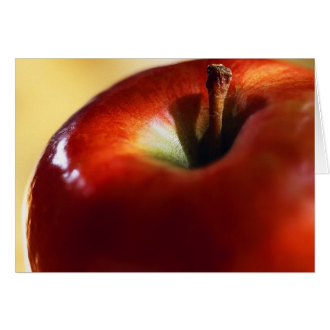 FEMALE SUPREMACY STARTED WITH EVE (Front Horizontal)