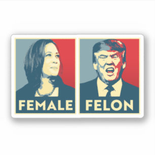 Female vs Felon