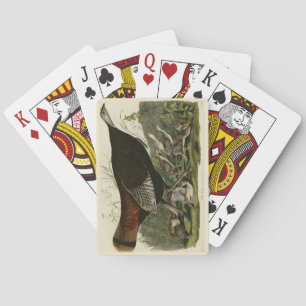 Female Wild Turkey from Audubon's Birds of America Playing Cards