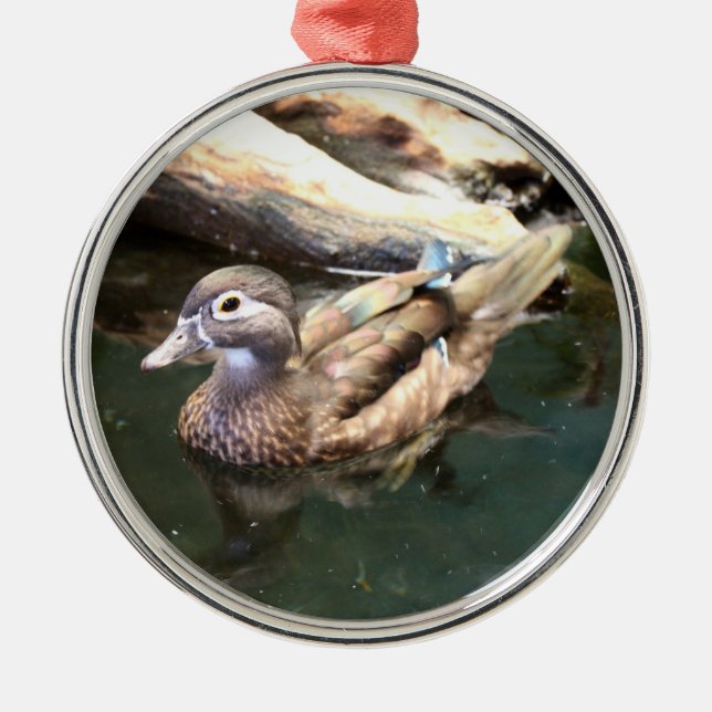 Female Wood Duck Metal Tree Decoration (Front)