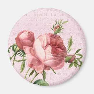 Feminine and beautiful vintage rose pink magnet