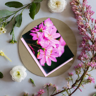 Feminine Light Pink Floral Photography Nature Card