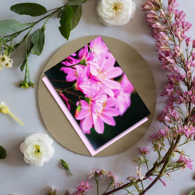 Feminine Light Pink Floral Photography Nature  Card (Creator Uploaded)