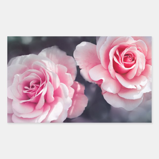 Feminine Pink Roses Floral Photo Rectangular Sticker (Front)