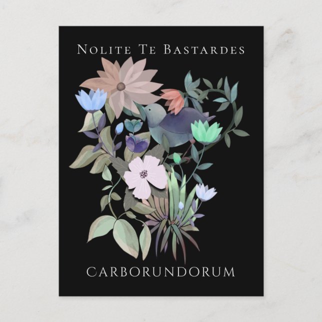 Feminist art Nolite Te Bastardes Carborundorum Postcard (Front)