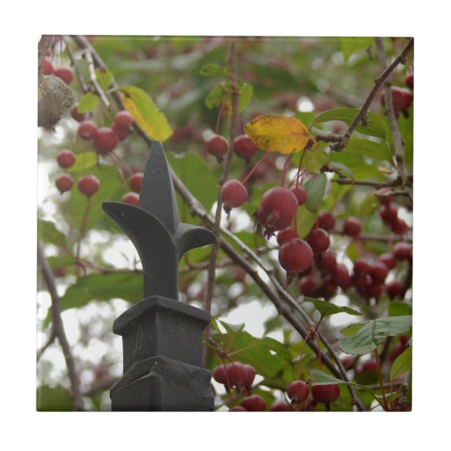 Fence and Crabapples Tile (Front)