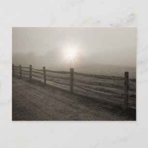 Fence and Sunburst Through Fog near Sharon Postcard