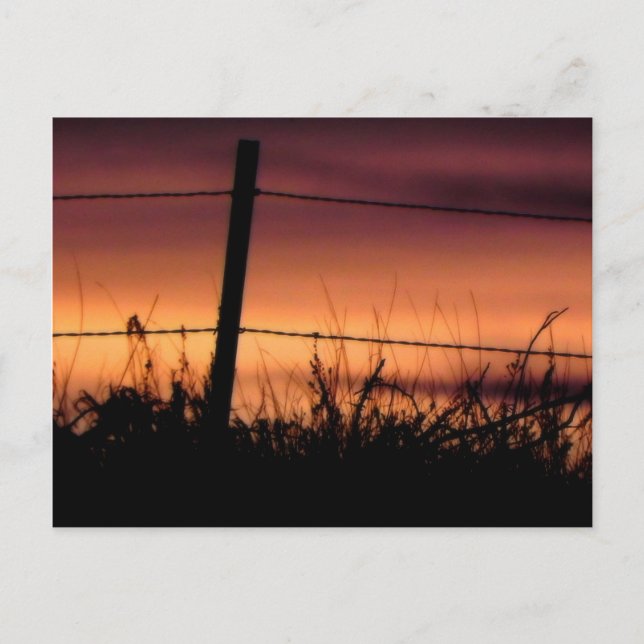Fence Line Sunset Post Card (Front)