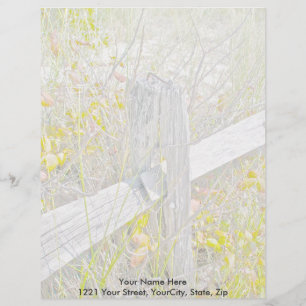 Fence & Poison Ivy IBSP Letterhead Template