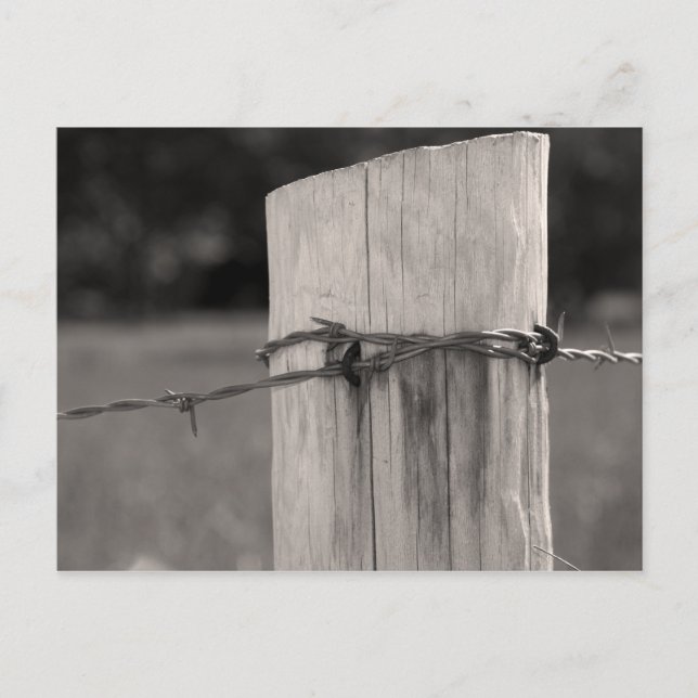 Fence Post and Barbed Wire Postcard (Front)