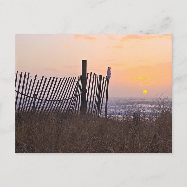 fence sunset postcard (Front)