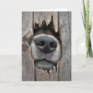Fence With Dog Nose Card