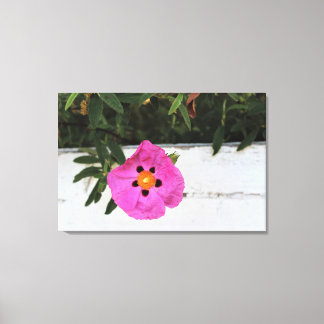 Fenced In Floral Canvas Print