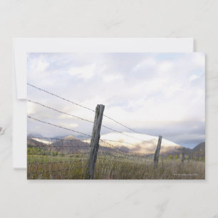 Fenced in Landscape