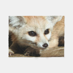 Fennec Fox Fleece Blanket