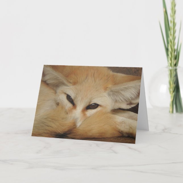 Fennec Fox Greeting Card (Front)