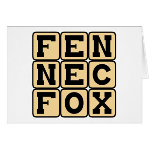 Fennec Fox, Small Nocturnal Fox