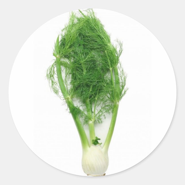 Fennel leaf and bulb classic round sticker (Front)