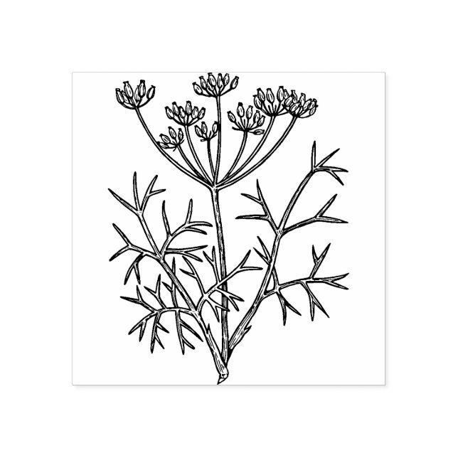 Fennel Plant Rubber Stamp (Imprint)