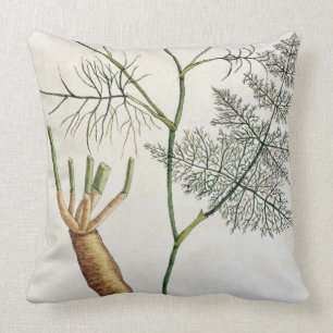 Fennel, plate 288 from 'A Curious Herbal', publish Cushion