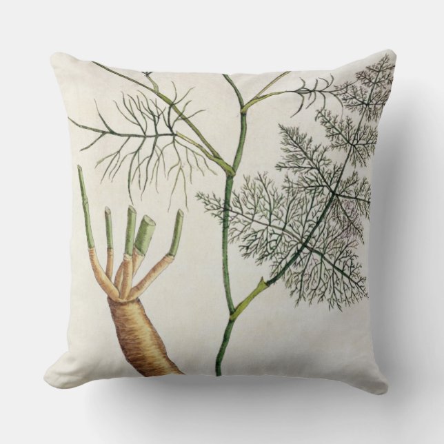 Fennel, plate 288 from 'A Curious Herbal', publish Cushion (Front)
