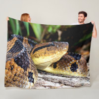 FER-DE-LANCE