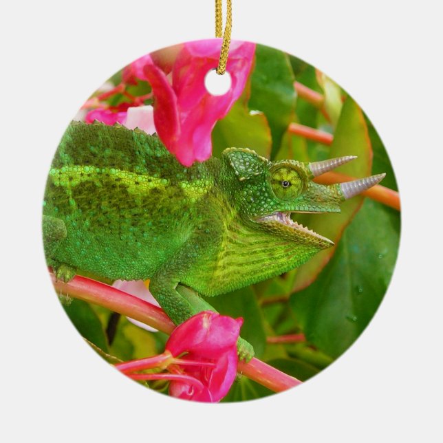Feral Jackson's Chameleon on Maui Island Hawaii Ceramic Tree Decoration (Front)