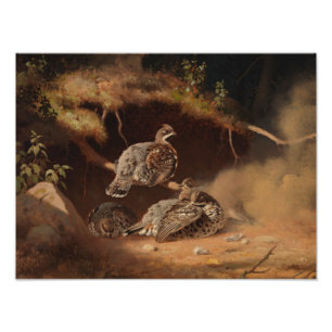 Ferdinand von Wright - Hazel Grouse Wallowing Photo Print