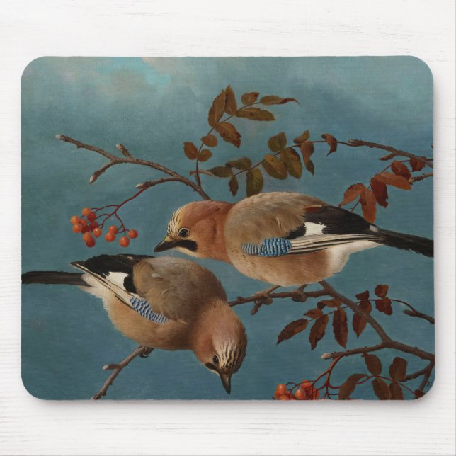Ferdinand von Wright - Jays Mouse Pad (Front)