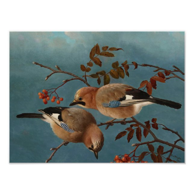 Ferdinand von Wright - Jays Photo Print (Front)