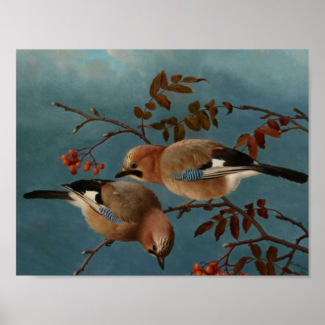 Ferdinand von Wright - Jays Poster (Front)