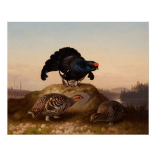 Ferdinand von Wright Orrar Black grouses 1870 Poster