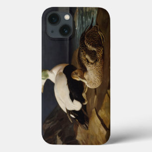 Ferdinand von Wright - Pair Of Common Eiders iPhone 13 Case