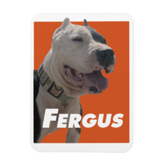 Fergus The Barbers Dog Magnet
