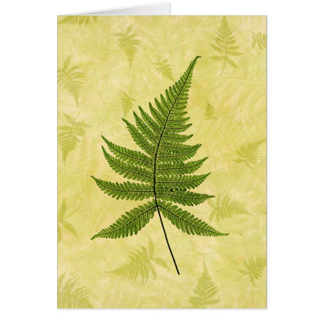 Fern (Front)