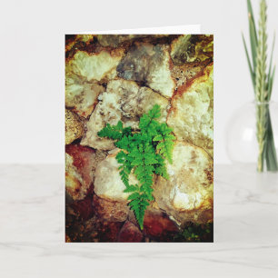 Fern and Geodes All Occasions  Card