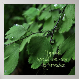 Fern and Raindrops Motivational Poster